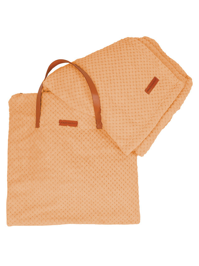 2 in 1 Blanket and Tote Bag