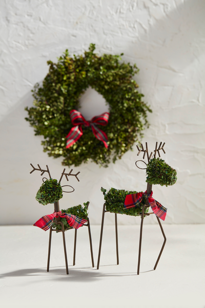 Boxwood Reindeer