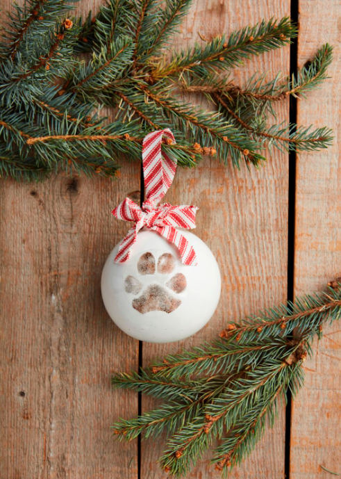 Paw Print Ornament Kit